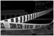 Crime Scene #2