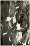 sculpture.jpg