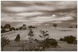 flinders_ranges_1jpg.jpg