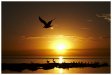 sunset_1.jpg