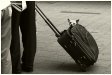 bag_dog.jpg
