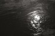 water_study.jpg