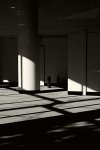 Shadows