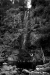 Erskine Falls, Victoria