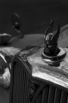 Rover 75