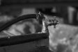 tap and hose