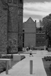 adelaide university