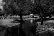 veale gardens, adelaide - 2006