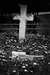 "forgotten"