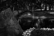rymill park - adelaide, 2006