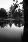study #1 - rymill park