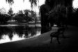 bench #2, rymill park