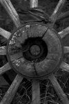 wheel detail