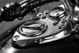 triumph detail - 2006