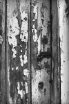 door and paint - Aldinga, Adelaide - 2006