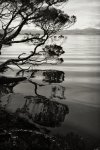 Sarah Island #2, Gordon River - Tasmainia, 2008