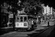 No. 5 - San Francisco,2009